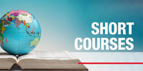 Professional Development Courses